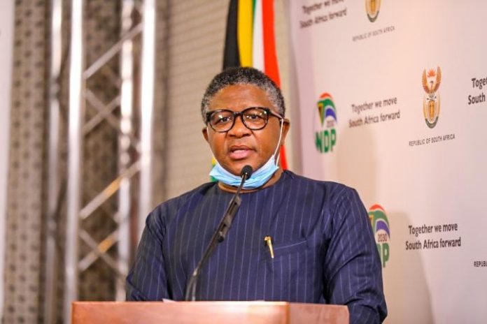 fikile transport minister