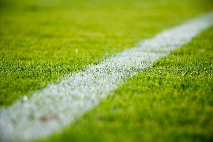 Football Pitch Grass