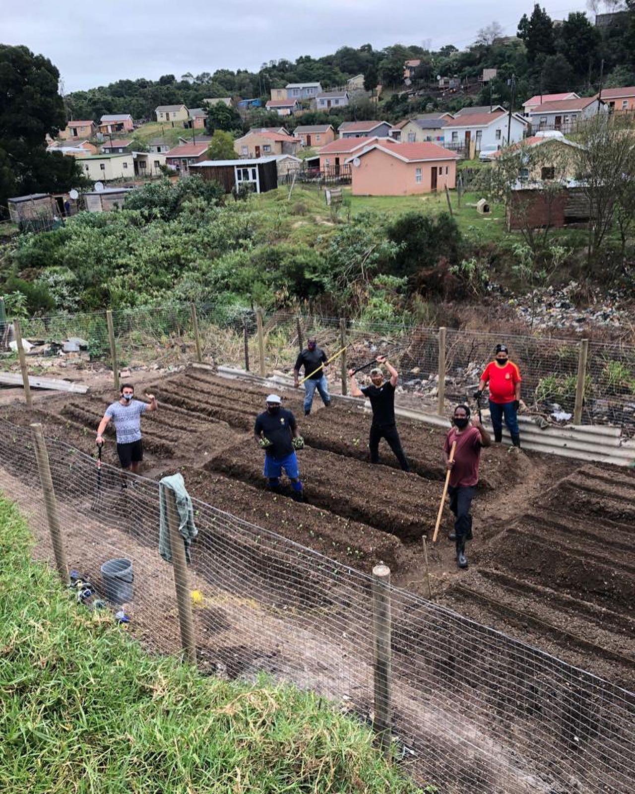 knysna vegetable garden garbage dump south africa