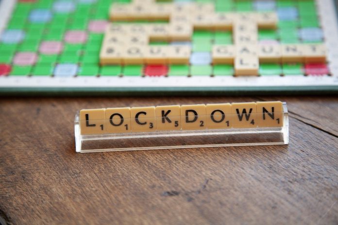 lockdown-5130295_1280 pix lockdown regulations declared invalid south africa