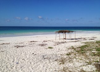 mozambique south africans pix