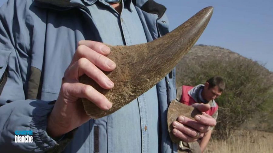 rhino dehorn carte blanche