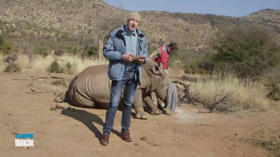 rhino dehorning sa