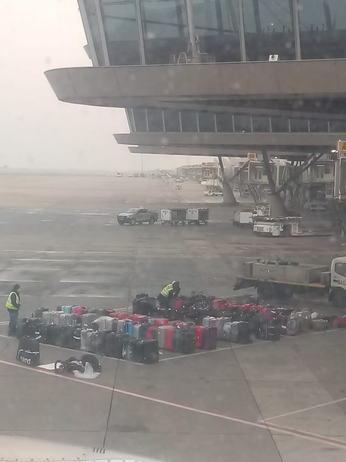 suitcases or tambo airport south africans panama