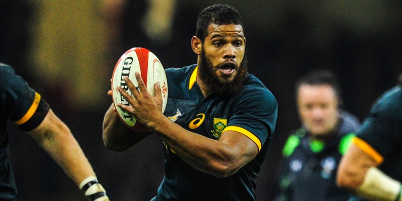 Nizaam Carr Springboks