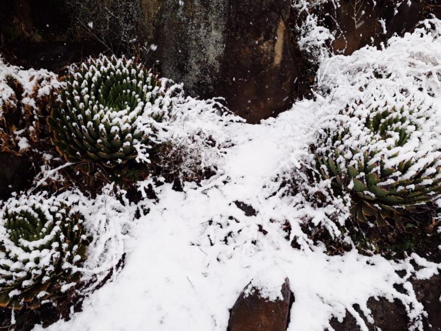 Semonkong Lodge, Lesotho, July, Snow