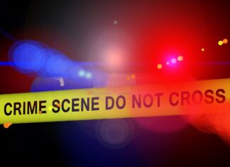 crime scene south african crime statistics pix