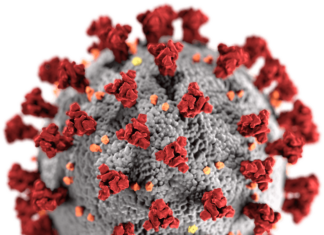 Coronavirus