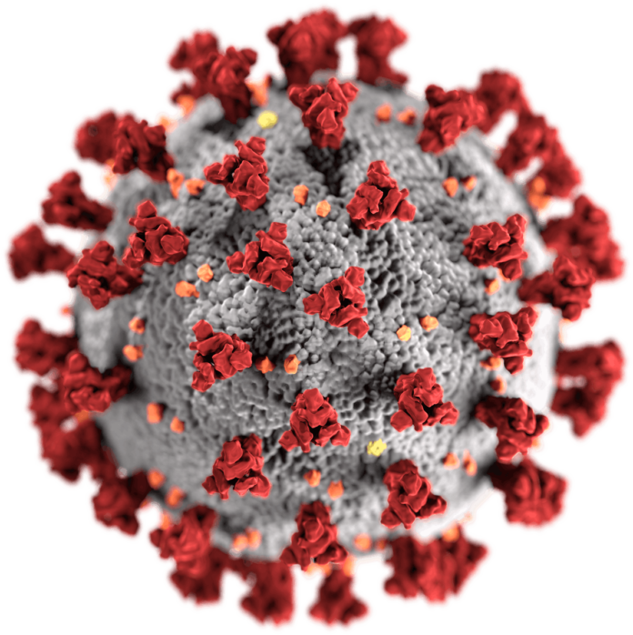 Coronavirus Coronavirus