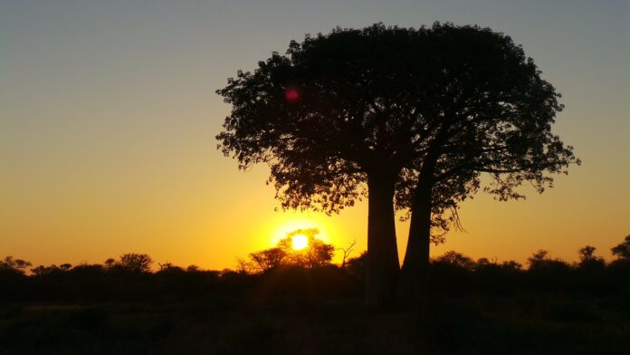 limpopo pix limpopo farm attack