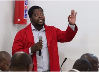 anthony matumba limpopo tracy zille