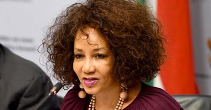 sisulu-warns-land-invasions-south-africa PHOTO: SA Gov News - Human Settlements, Water and Sanitation Minister, Lindiwe Sisulu