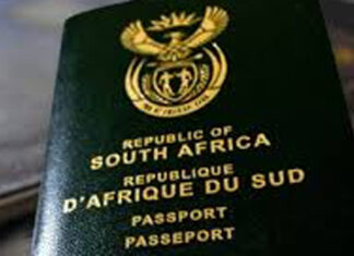 south-african-passport applications open