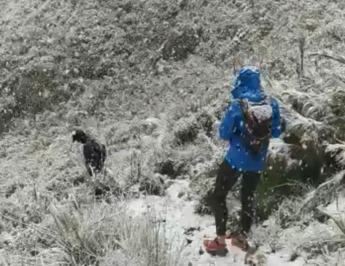 snow south africa jonkershoek stellenbosch snow south africa jonkershoek stellenbosch