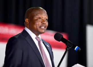 david mabuzo deputy president south africa calls for end to farm murders