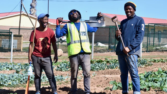 food-garden-during-the-Covid-19-lockdown food garden during covid 19 south africa GU