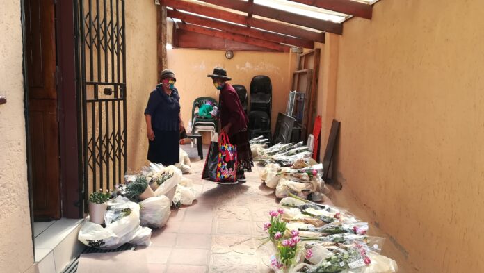 Pensioner Leah Mtshali collects her food parcel and a bouquet of flowers from Sylvia Mvumvu’s home in Alexandra, Johannesburg. Photo: Zoë Postman Pensioner Leah Mtshali collects her food parcel and a bouquet of flowers from Sylvia Mvumvu’s home in Alexandra, Johannesburg. Photo: Zoë Postman