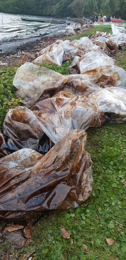 mauritius oil spill shore