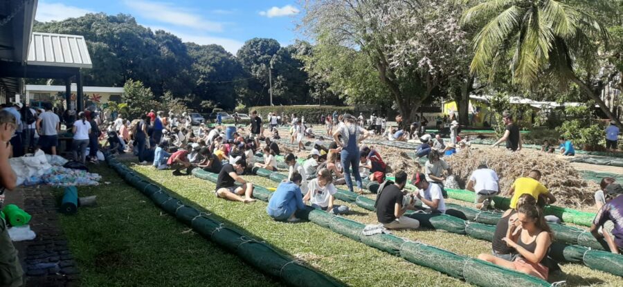 volunteers in Mauritius after the oil spill