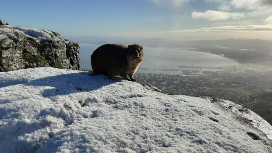 PHOTOS of Snow on Table Mountain as Cableway Opens Early in Cape Town