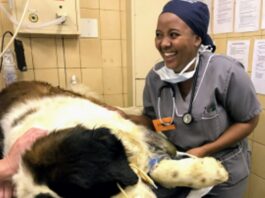 Zandile Mbonxa vet