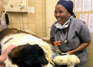 Zandile Mbonxa vet