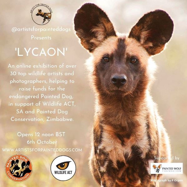 Global Artists Come Together for African Painted Dog Conservation
