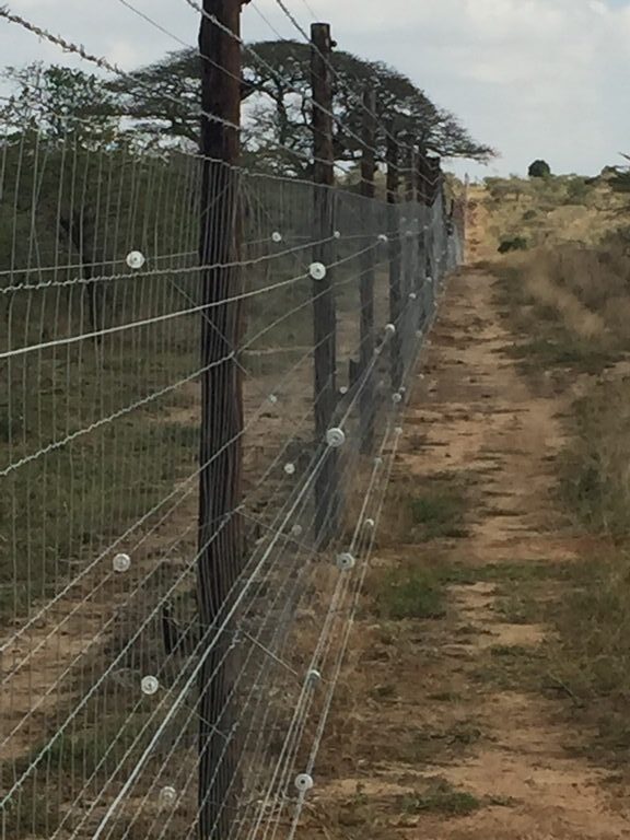 rhino detection fence kzn