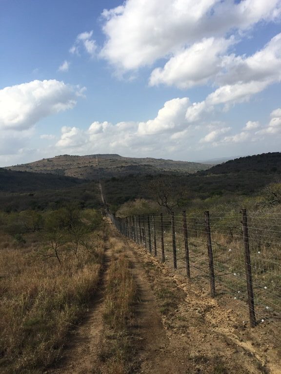 Ndleke East - Detection Fence