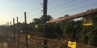 Detection Fence in KZN, released for World Rhino Day. Photos supplied