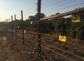 Detection Fence in KZN, released for World Rhino Day. Photos supplied