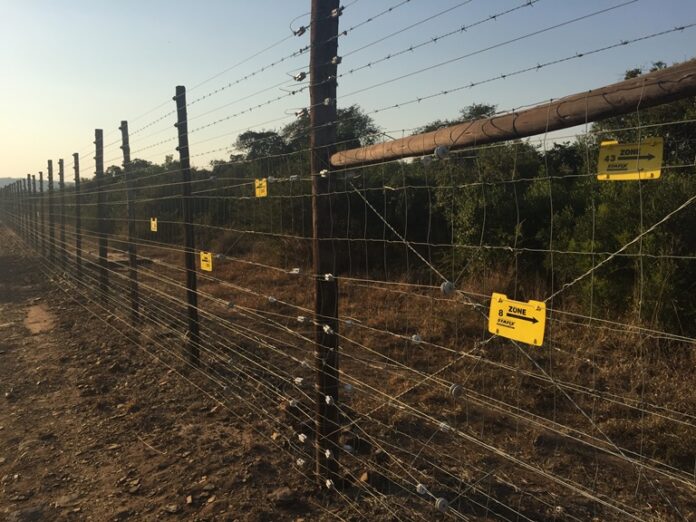 Detection Fence in KZN, released for World Rhino Day. Photos supplied Detection Fence in KZN, released for World Rhino Day. Photos supplied