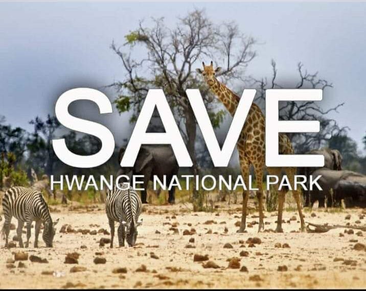 save hwange national park zimbabwe