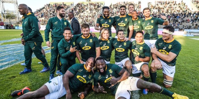 springboks