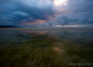 noordhoek wetlands cape town south africa