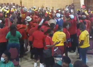 EFF-ANC-Limpopo