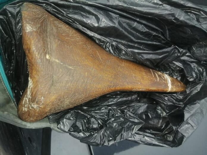 rhino horn
