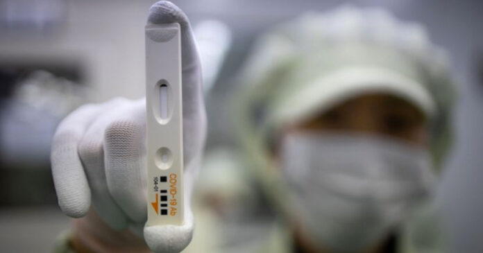 antigen-tests antigen-tests south africa