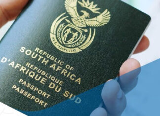 Everything a South African Needs to Know on Renewing Passports and Documents Abroad