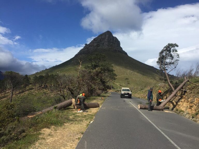 WATCH Strong Winds Batter Cape Town SAPeople Worldwide South