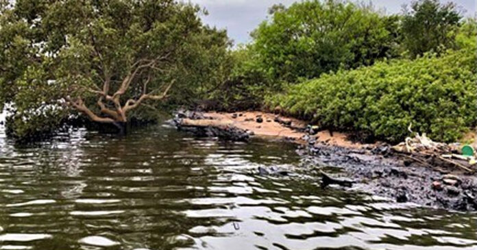 crude-oil-spill-durban crude-oil-spill-durban