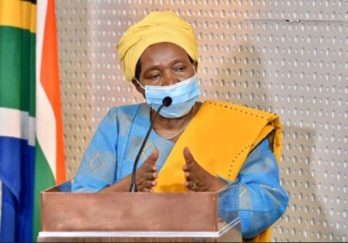 dlamini zuma