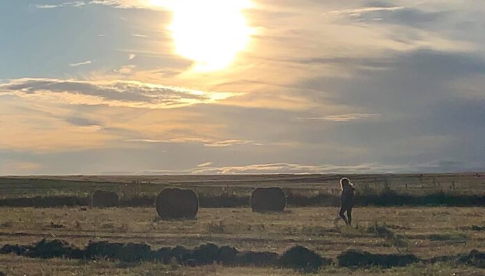 Gareth Going Paul Roux Farmer Spaza shop story with bakkies Gareth Going Paul Roux Farmer Spaza shop story with bakkies
