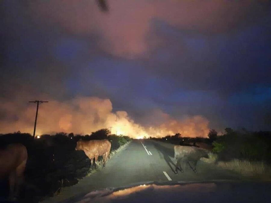 hertzogville fires free state