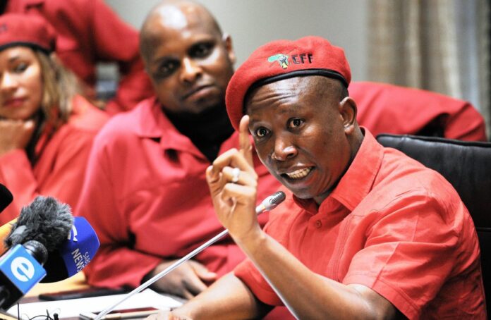julius malema EFF leader Julius Malema