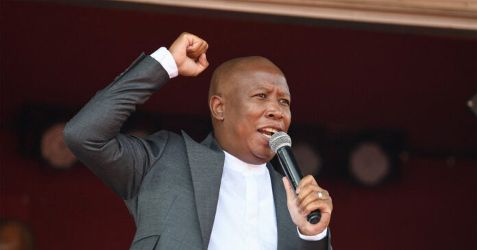 EFF leader Julius Malema: 