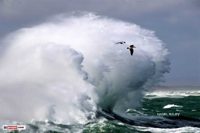 kalk bay harbour big waves sea kalk bay harbour big waves sea