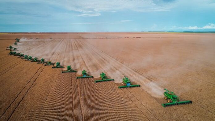 soy plantations