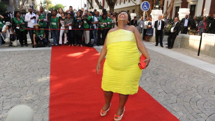 thandile sunduza parliament opening south africa 2014