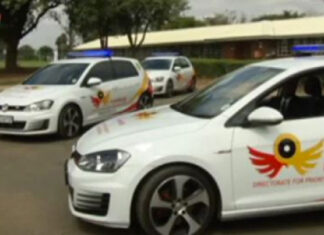 hawks-south-african-police-service